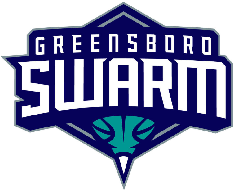 Greensboro Swarm 2016-Pres Primary Logo iron on heat transfer